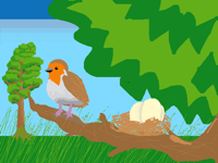 Bird