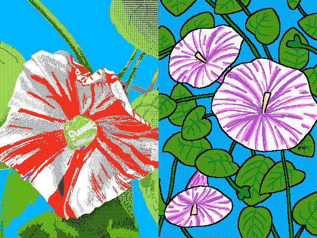 ipomoea in your style (@doodlebug)