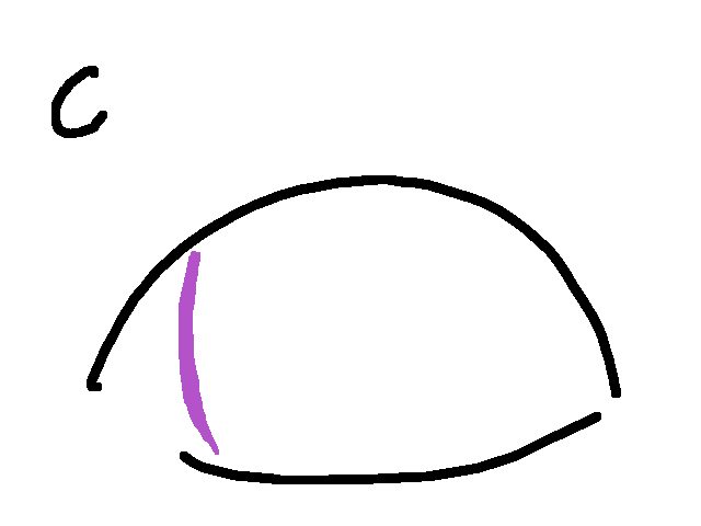 Comment on this animation!!!