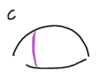 Comment on this animation!!!