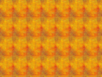 What do you see?