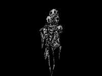 skeleton