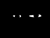 Eyes