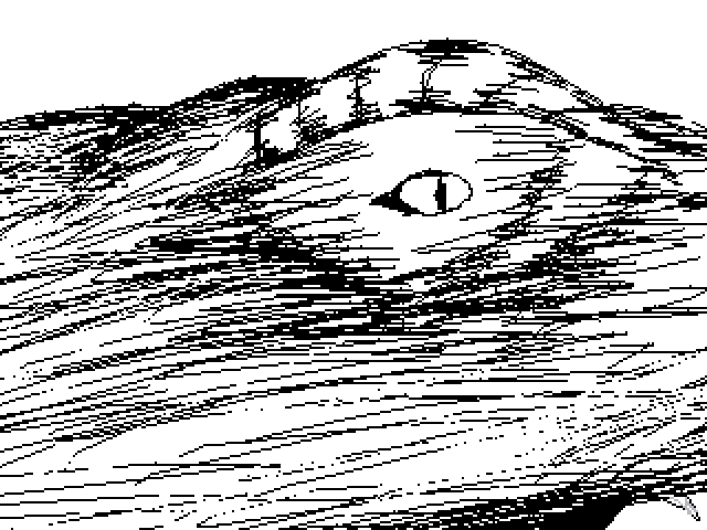 Sneak peek