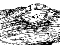 Sneak peek