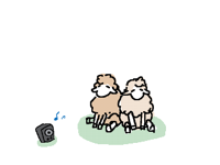 vibin sheep