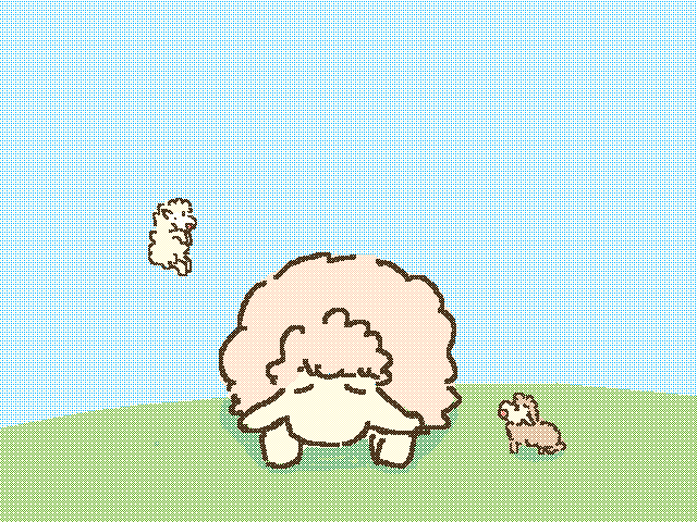 twin sheep