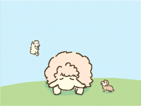 twin sheep