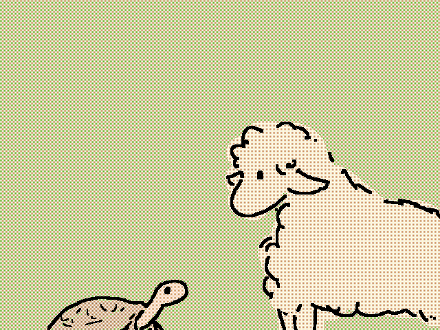 turle n‘ sheep