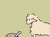 turle n‘ sheep