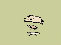 turtle in the middle