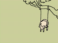 lonesome sheep