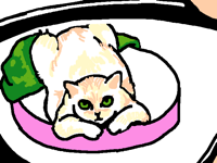 鸡子
