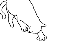挖