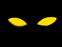 Cats eye