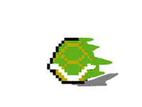 Spinning Turtle Shell