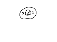 Squishy face