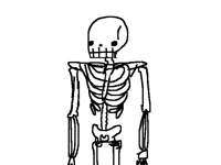 Skellybone groove