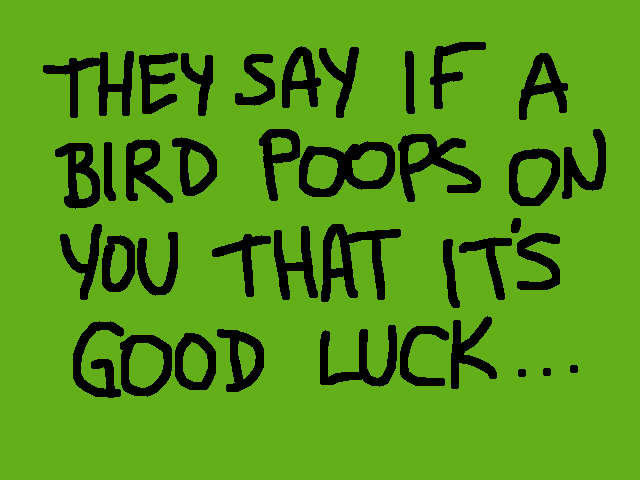Bird Poop