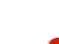Red boi