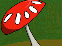 A Mushroom.