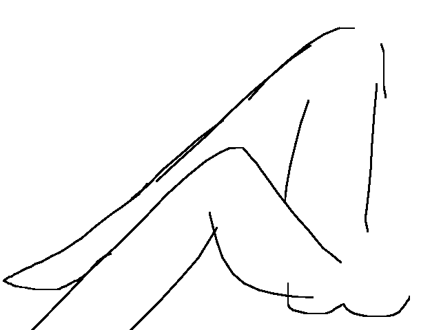 Leg