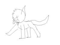 Skippy Cat