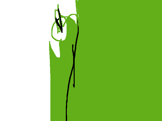 Nose RADURA
