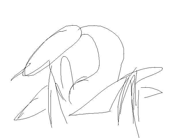 Reed boi