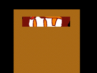 MARCUS BOX