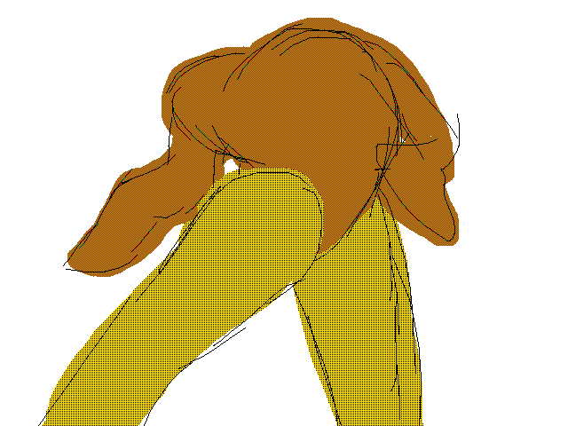 Legs