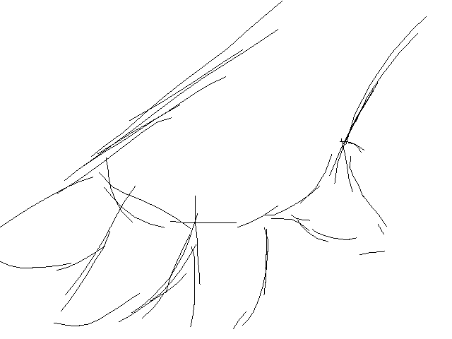 Han