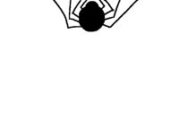 Spoder