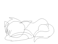 Ripple Cat