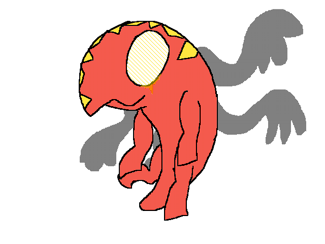 Should I put up for adopt or keep