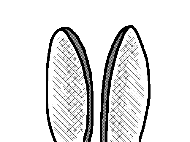 Bunny Ears