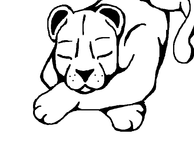 Panther Pat
