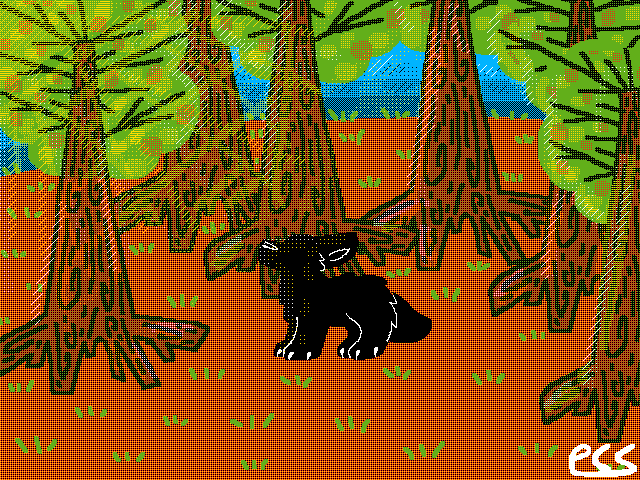 ((;;)) Our Forest ((;;))