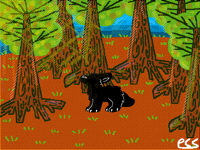 ((;;)) Our Forest ((;;))