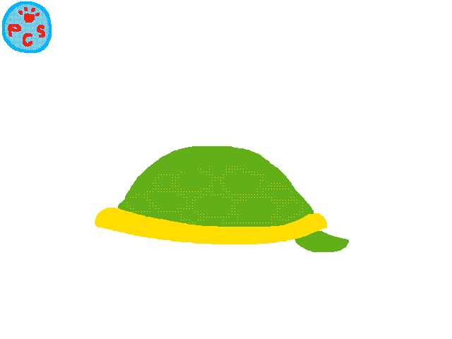 Turtle Shell || For FancyTurtle