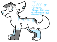 Jay Reference || OC