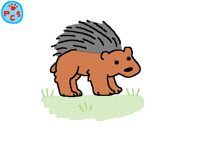 Hedgehog || Gif.