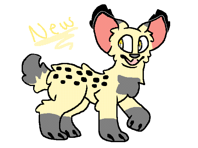 I m p r o v e m e n t