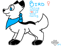 Bird Reference || OC