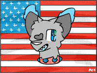 * * Happy 4th of July! * *