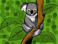 Koala!