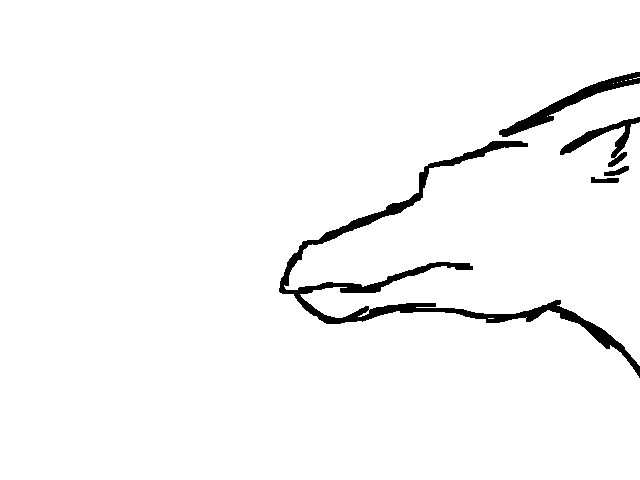 Dragon!!