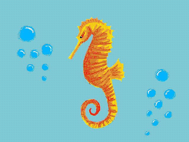 Sea Horse
