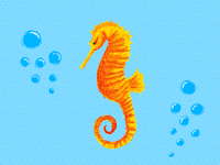 Sea Horse