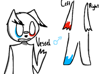 The new Vessel